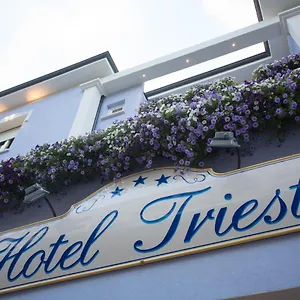 https://hotel-trieste-cesenatico.emilia-romagnahotels.net